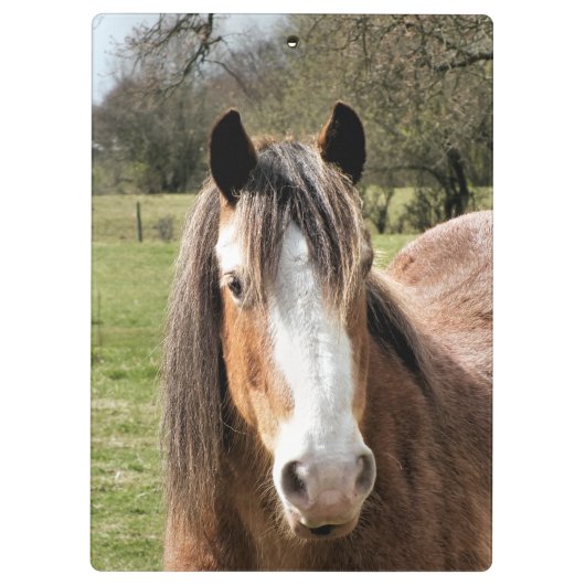 HORSE KLEMMBRETT (Rückseite)