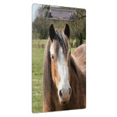 HORSE KLEMMBRETT (Rechts)