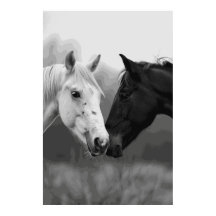 Horse Lover Friends Fotografierendes Poster