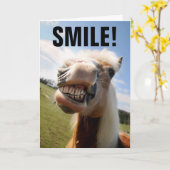 HORSE LOVER FUNNY BIRTHDAY GREETING CARDS KARTE (Gelbe Blume)