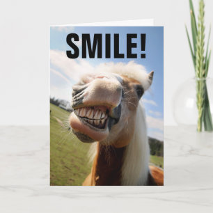 HORSE LOVER FUNNY BIRTHDAY GREETING CARDS KARTE