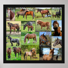 Horse Lover's Collage Poster