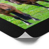 Horse Lover's Collage Poster (Ecke)