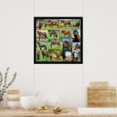 Horse Lover's Collage Poster (Küche)