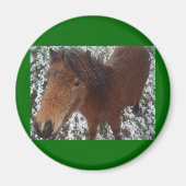 HORSE MAGNET (Vorne)