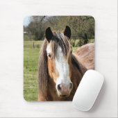 HORSE MOUSEPAD (Mit Mouse)