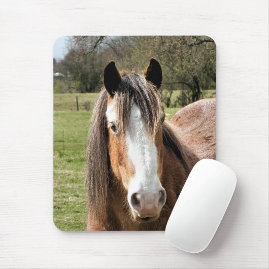HORSE MOUSEPAD (Mit Mouse)