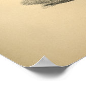 Horse Muscle Anatomy 1908 Vintage Print Poster (Ecke)