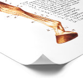 Horse Muscle Anatomy Chart Poster (Ecke)