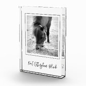 HORSE NAME Reittier FOTO Zeitlos Keepake (Rechts)