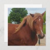 Horse Note Card | Elegant Equestrian Greeting Card (Vorne/Hinten)