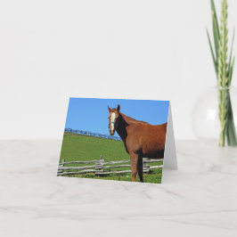 Horse Note Card Karte