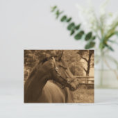 Horse of My Heart Postkarte (Stehend Vorderseite)