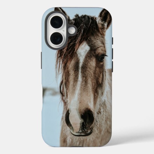 Horse Phone Case iPhone 16 (Rückseite)