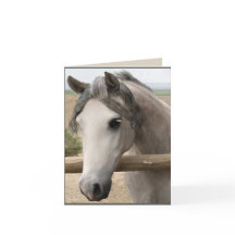 Horse Portrait Vielen Dank CARD