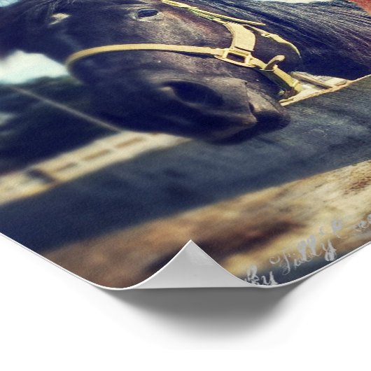 Horse Poster: "Hey Mädchen." Poster (Ecke)