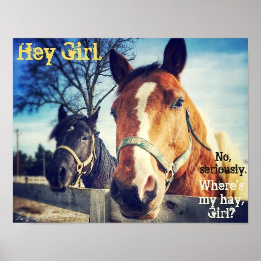 Horse Poster: "Hey Mädchen." Poster (Vorne)