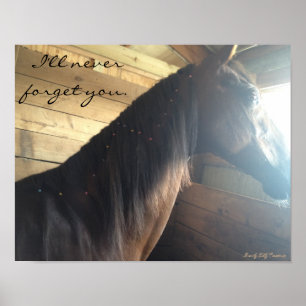 Horse poster: "I'll Never Forget You." Poster