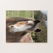 HORSE PUZZLE (Horizontal)
