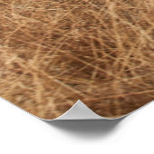 HORSE RACE POSTER (Ecke)