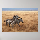 HORSE RACE POSTER (Vorne)