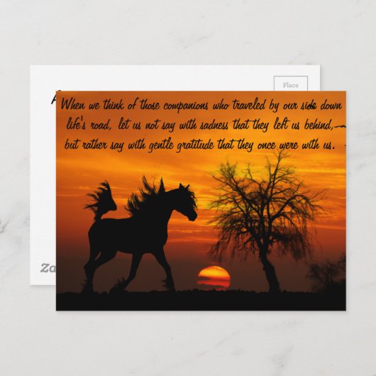 Horse Running Free at Sunset Postkarte (Vorne/Hinten)