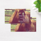 Horse Shoe Acres Soft Focus Sorrel (Schreibtisch)