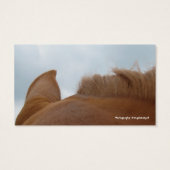 Horse Shoe Acres Sorrel Pferd (Rückseite)