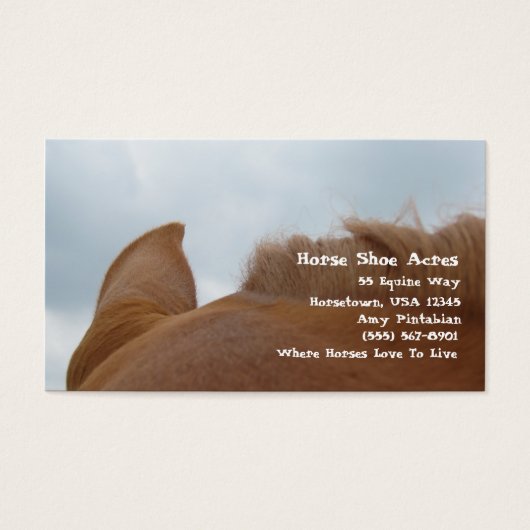 Horse Shoe Acres Sorrel Pferd (Vorderseite)