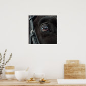Horse Stallion Eye Foto Naturewall Poster (Küche)
