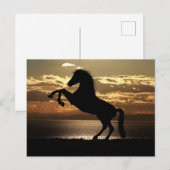 horse sunset silhouette postkarte (Vorne/Hinten)