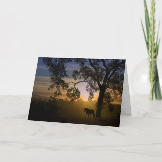 Horse Sympathy Card Karte