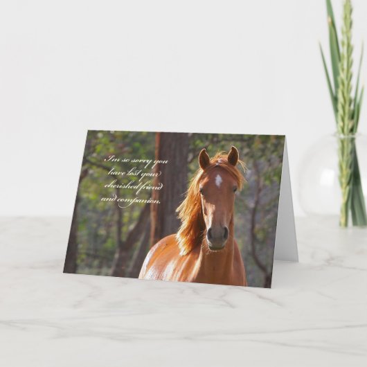Horse Sympathy Card Karte (Vorderseite)