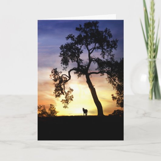 Horse Sympathy Card Karte (Vorderseite)