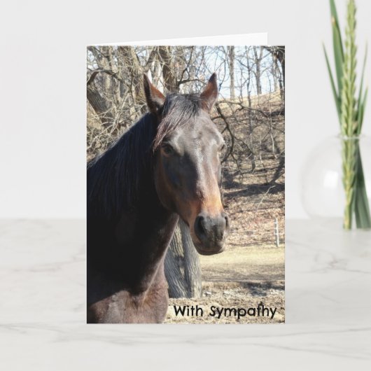 Horse Sympathy Card Karte (Vorderseite)