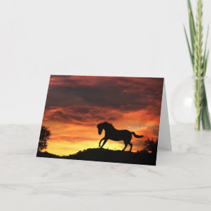 Horse Sympathy Card Karte