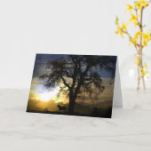 Horse Sympathy Card Karte (Gelbe Blume)