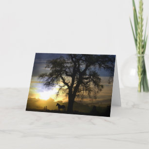 Horse Sympathy Card Karte