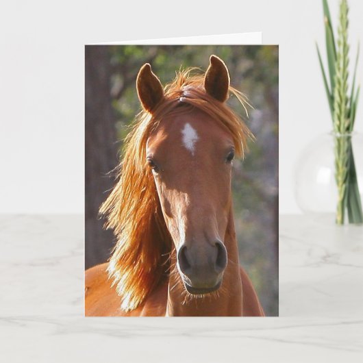 Horse Sympathy Card Karte (Vorderseite)