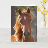 Horse Sympathy Card Karte (Gelbe Blume)
