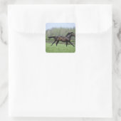 Horse Thoroughbreds, Wassl 1988, Quadratischer Aufkleber (Tasche)