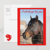 Horse Valentine V Feiertagspostkarte (Vorne/Hinten)