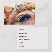 HORSE VISITENKARTE (Vorne/Hinten)