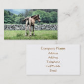 HORSE VISITENKARTE (Vorne/Hinten)