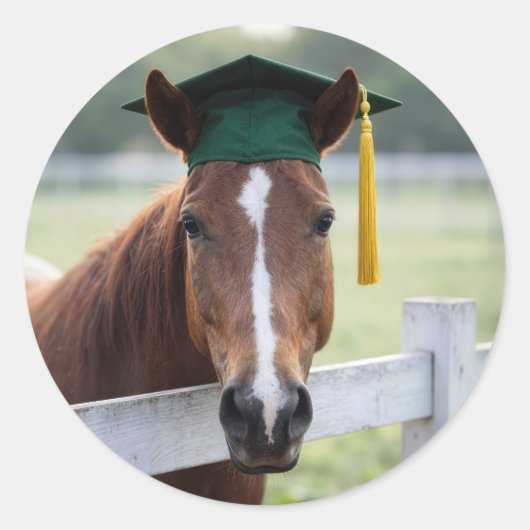 Horse Wearing a Green Graduation Cap Runder Aufkleber (Vorderseite)