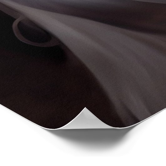 Horse White Poster (Ecke)