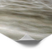 Horse White Ranch Mare Foto Poster (Ecke)