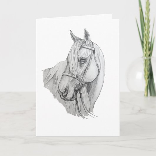 Horse with Flowing Mane Pencil Portrait Blank Karte (Vorderseite)