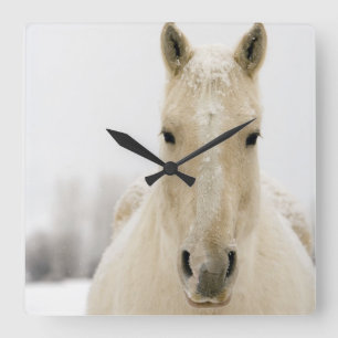 Horse with snow on head quadratische wanduhr