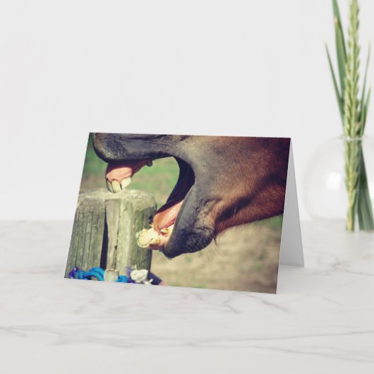 Horse Yawn Karte (Vorderseite)